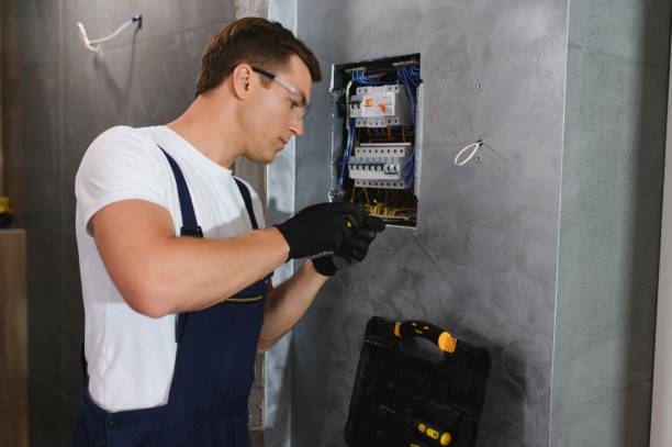 Best Electric Panel Repair  in Lyons, CO